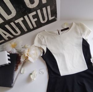The Limited Black And White Short Sleeve Blouse